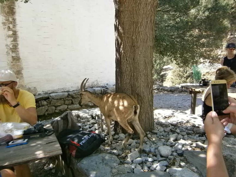 From Georgioupolis: Roundtrip Transfer to Samaria Gorge - A Detailed Look at the Samaria Gorge Tour from Georgioupolis