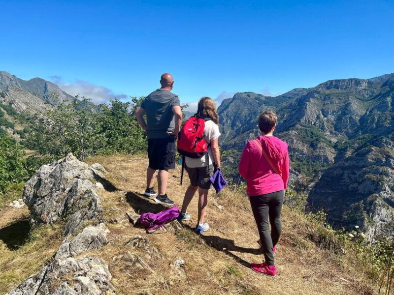 from-gijon-or-oviedo-ponga-natural-park-day-trip