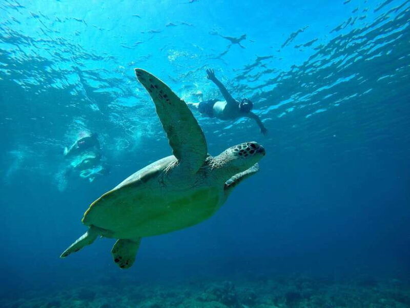 from-gili-air-private-snorkeling-tour-3-gilis