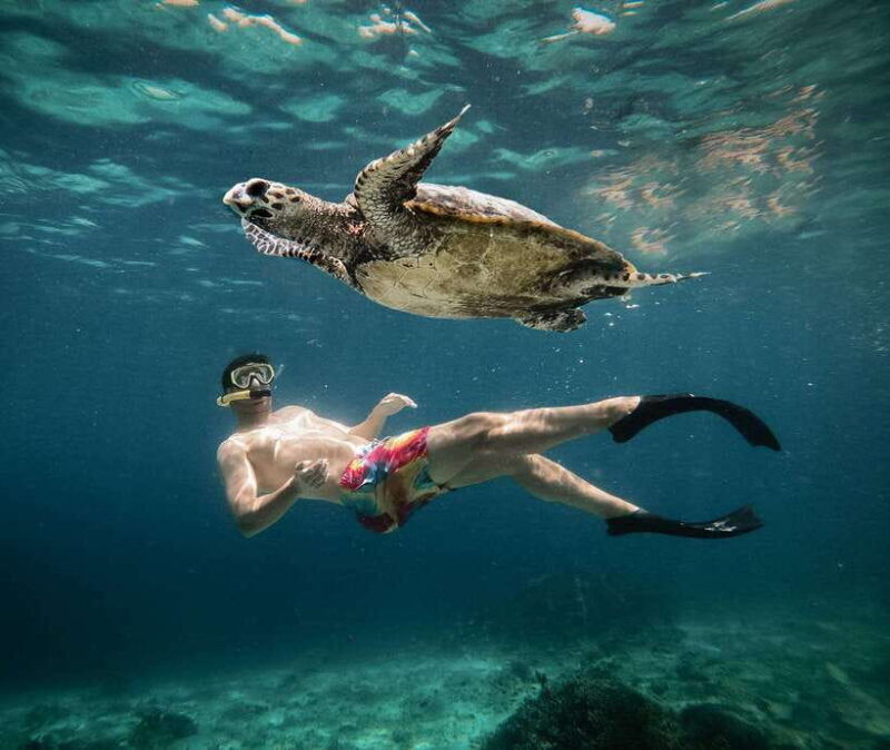 from-gili-air-snorkeling-with-turtles-underwater-statue