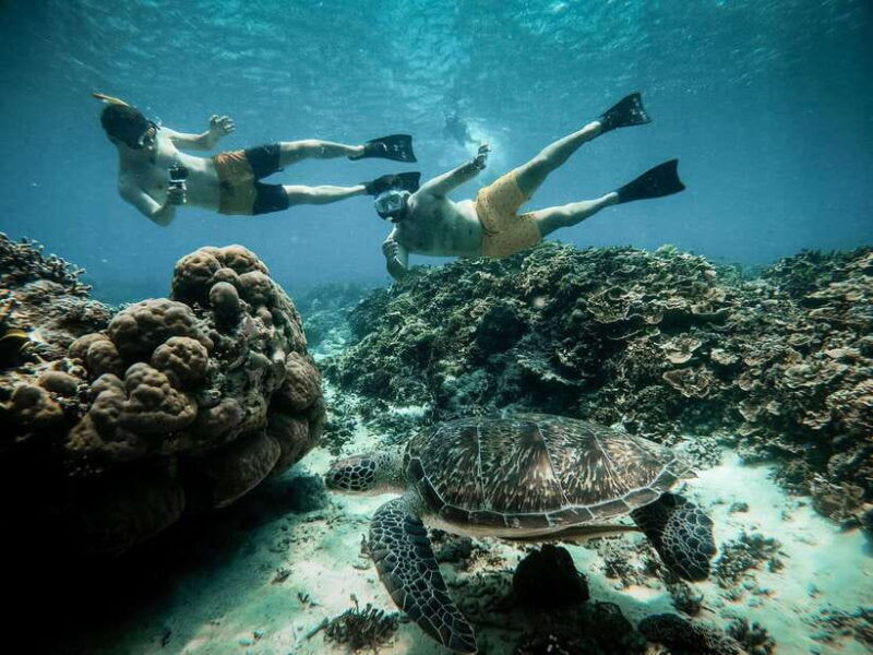 from-gili-air-snorkeling-with-turtles-underwater-statue