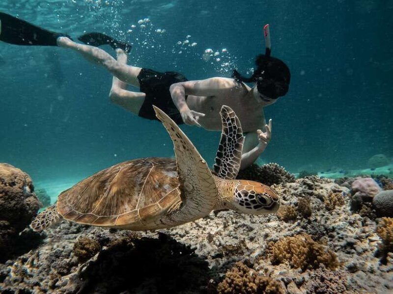 from-gili-air-snorkeling-with-turtles-underwater-statue