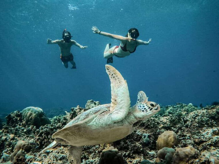 from-gili-air-snorkeling-with-turtles-underwater-statue