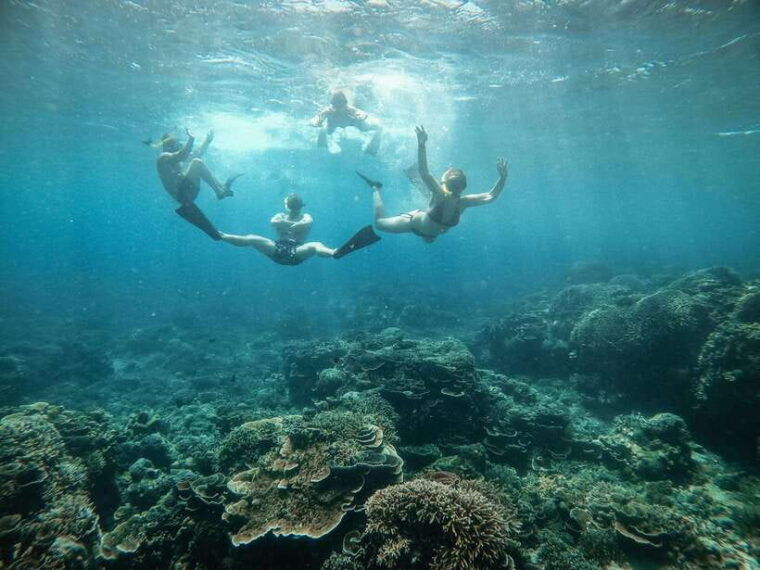 from-gili-air-snorkeling-with-turtles-underwater-statue