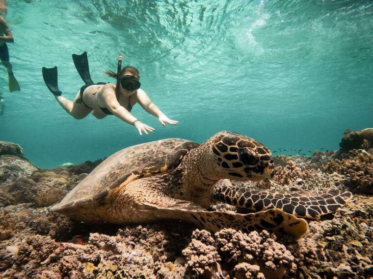 from-gili-air-snorkeling-with-turtles-underwater-statue
