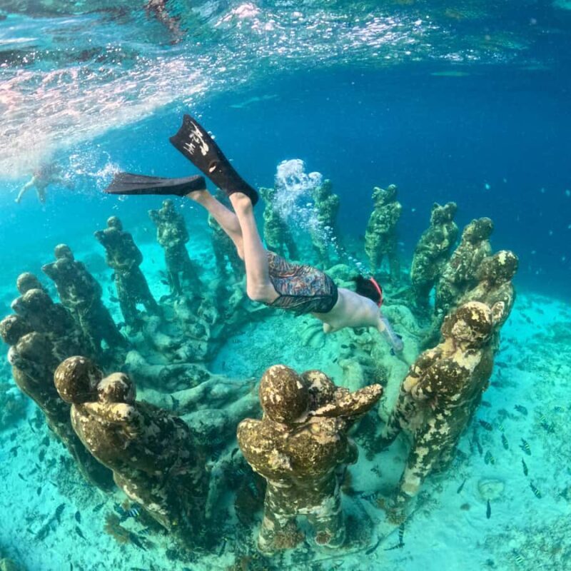 From Gili Meno: Private & Group Gili Islands Snorkeling - Key Points