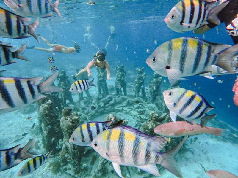 from-gili-meno-private-snorkeling-with-turtle-statue