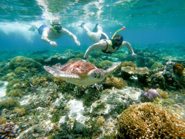 from-gili-meno-private-snorkeling-with-turtle-statue