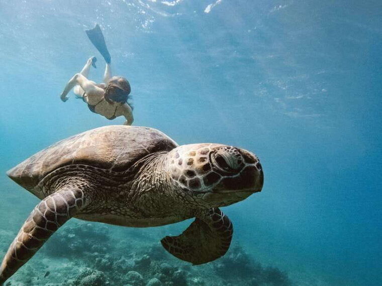 from-gili-trawangan-gili-islands-snorkeling-boat-tour