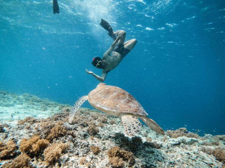 from-gili-trawangan-gili-islands-snorkeling-boat-tour