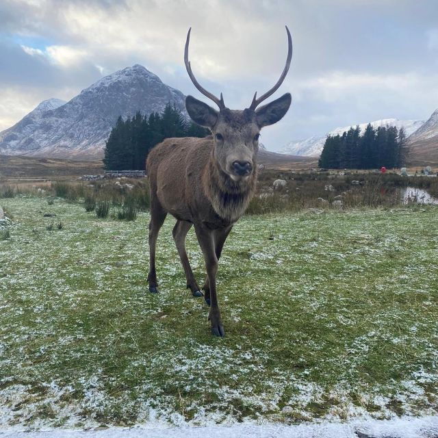 from-glasgow-glenfinnan-fort-william-glencoe-day-tour