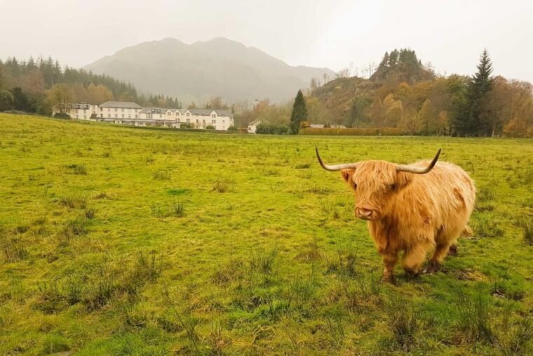 from-glasgow-loch-lomond-trossachs-stirling-castle-tour