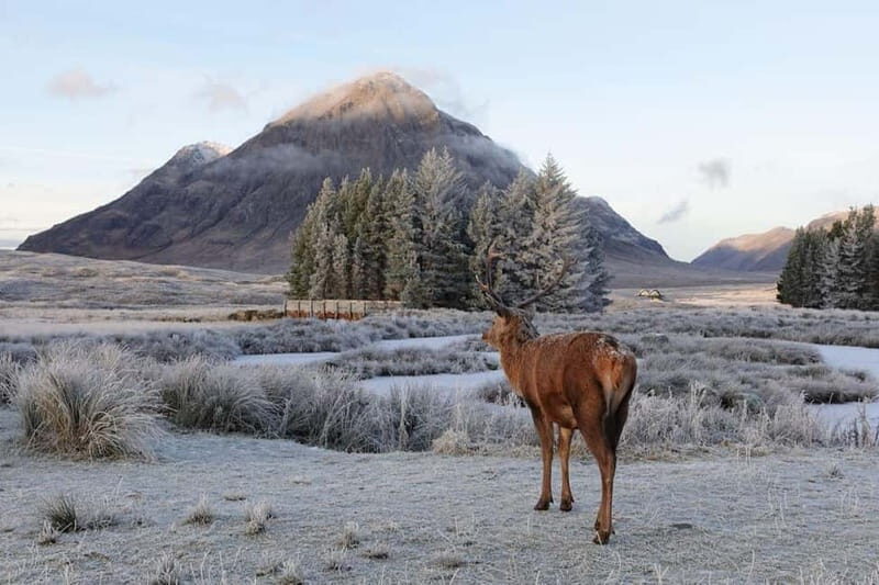 From Glasgow: Oban, Glencoe & Highlands Day Tour - The Practicalities: Transportation, Guides, and Value