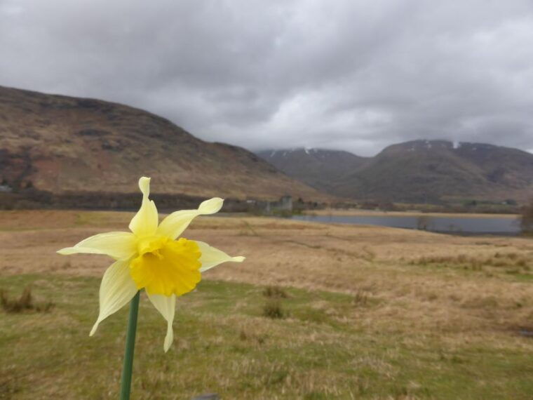 from-glasgow-scottish-highlands-isle-of-skye-5-day-tour