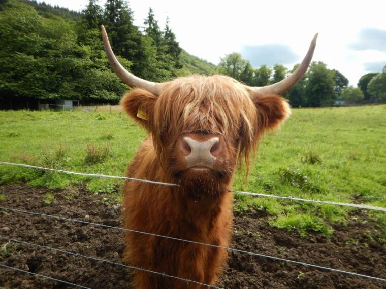 from-glasgow-scottish-highlands-isle-of-skye-5-day-tour