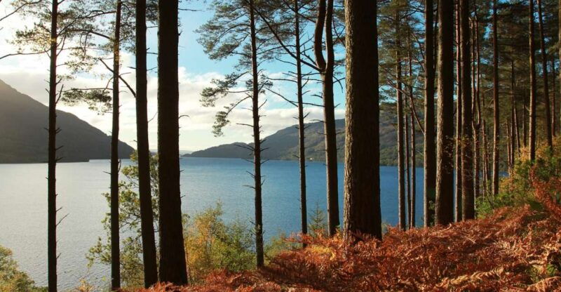 from-glasgow-stirling-castle-loch-lomond-tour-with-cruise