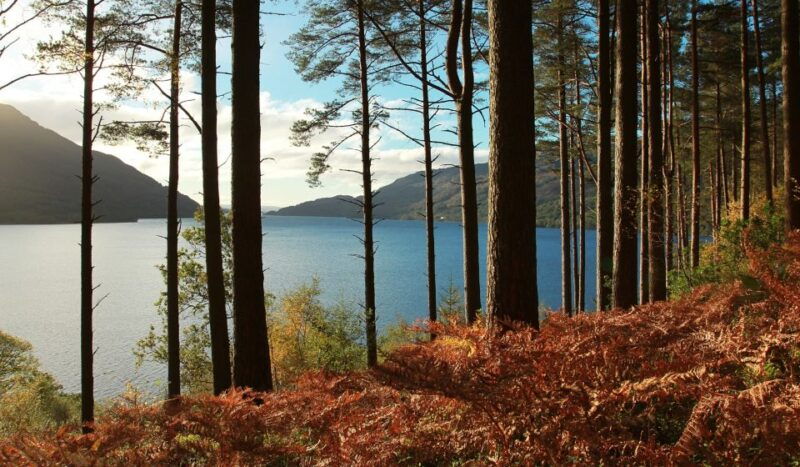 from-glasgow-whisky-and-loch-lomond-tour-with-admissions