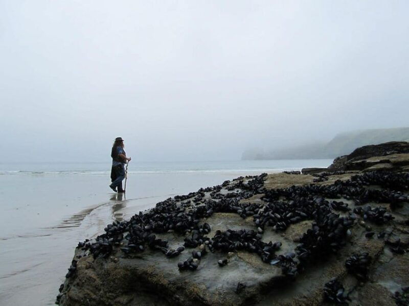 from-glastonbury-2-day-tintagel-boscastle-dartmoor-tour