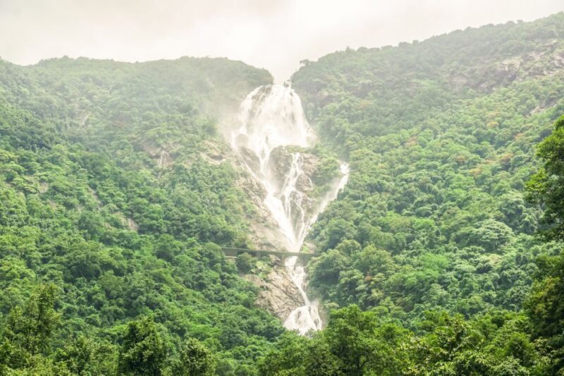 From Goa: Dudhsagar Waterfalls & Plantation Tour - The Off-Road Jeep Safari to Dudhsagar Falls