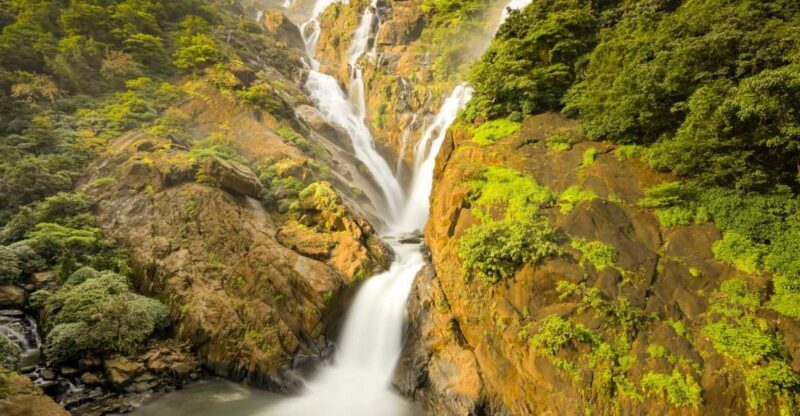 From Goa: Dudhsagar Waterfalls & Plantation Tour - Spice Plantation Tour: Aromas and Insights