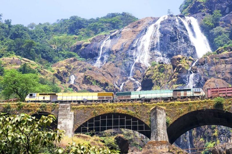 From Goa: Dudhsagar Waterfalls & Plantation Tour - Authentic Goan Lunch: Flavors and Comfort