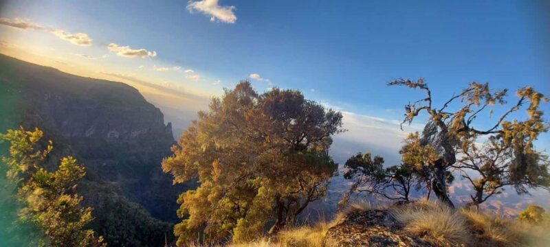 From Gondar: 6-Day Simien Mountains Trekking Tour ras dejen - Authentic Experiences and Tips from Reviewers