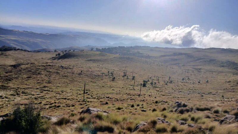 From Gondar: 6-Day Simien Mountains Trekking Tour ras dejen - Frequently Asked Questions