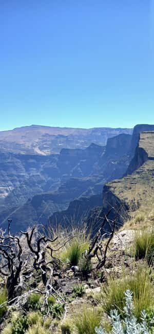 From Gondar: Simien Mountains Four-Day Guided Trek - Who Should Consider This Tour?