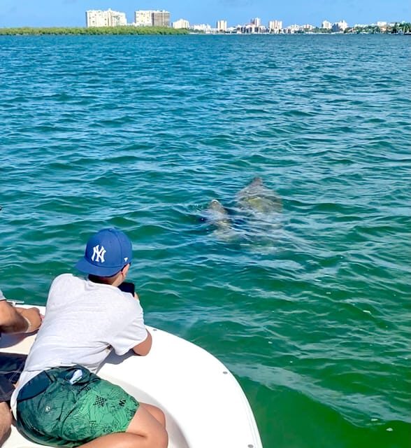 From Goodland: Private Shelling and Dolphin Watching Cruise - FAQ