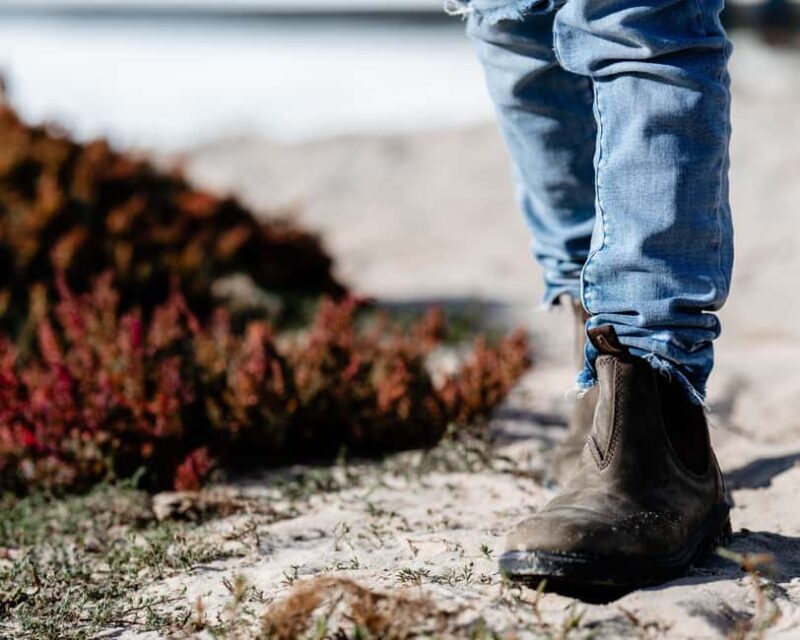 From Goolwa: Full Day Coorong Experience - The Sum Up: Who Will Love This Tour?