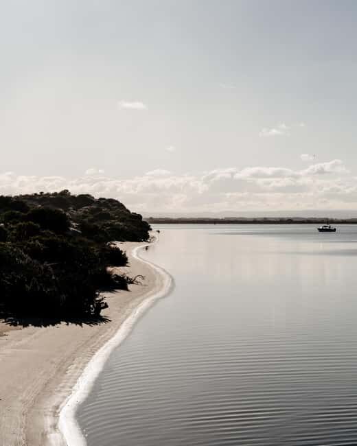 From Goolwa: Murray Mouth Cruise - Authentic Experiences From Reviews