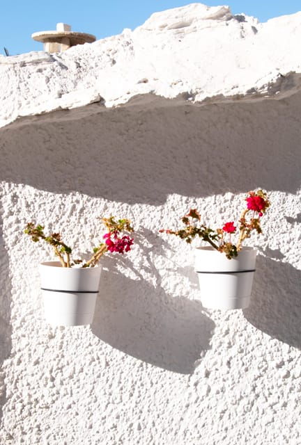 from-granada-alpujarra-region-full-day-tour