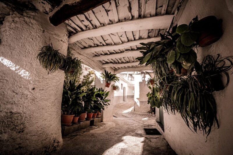 from-granada-alpujarra-region-full-day-tour