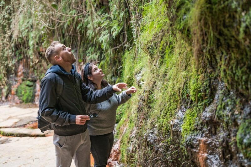from-granada-alpujarra-villages-guided-day-tour