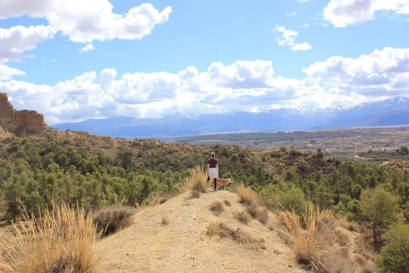 From Granada: Granada Geopark, Guadix and Troglodyte City - The Experience: What to Expect and Why It Matters