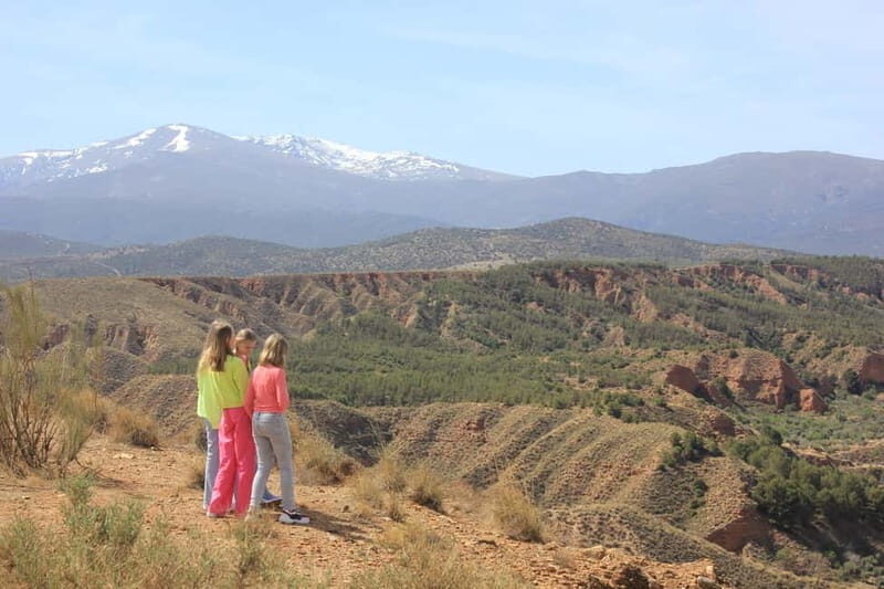 From Granada: Granada Geopark, Guadix and Troglodyte City - Who Is This Tour Best For?