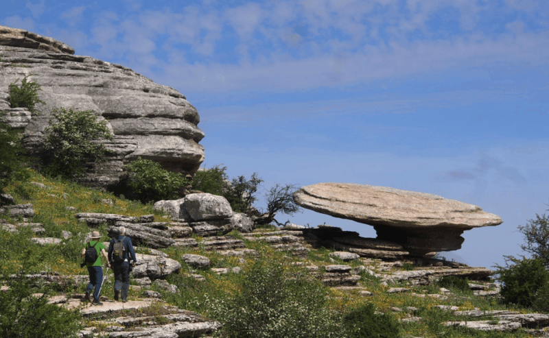 from-granada-lobo-parque-and-torcal-de-antequera-adventure-excursion