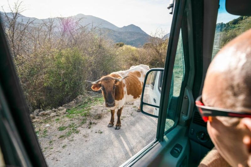 from-granada-sierra-nevada-safari-tour-to-2500-meters
