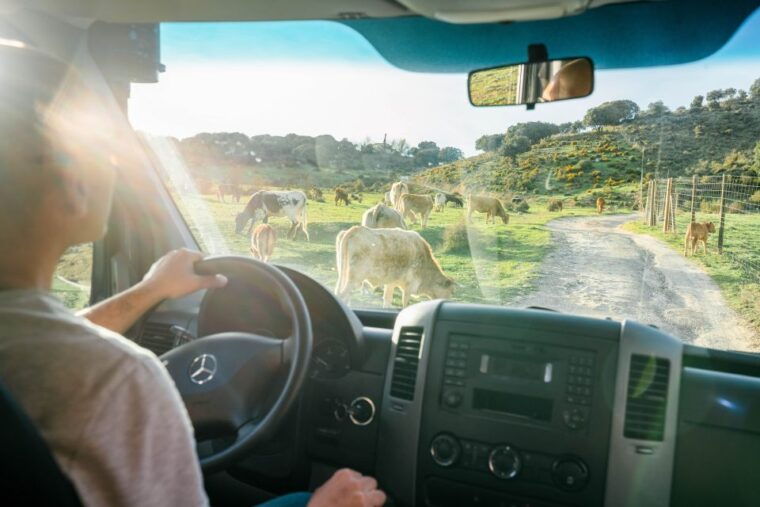 from-granada-sierra-nevada-safari-tour-to-2500-meters
