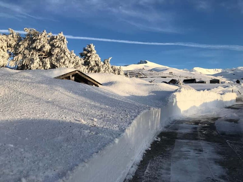 From Granada: Sierra Nevada Safari up to 2500 meters high - Discovering the Sierra Nevada from Granada