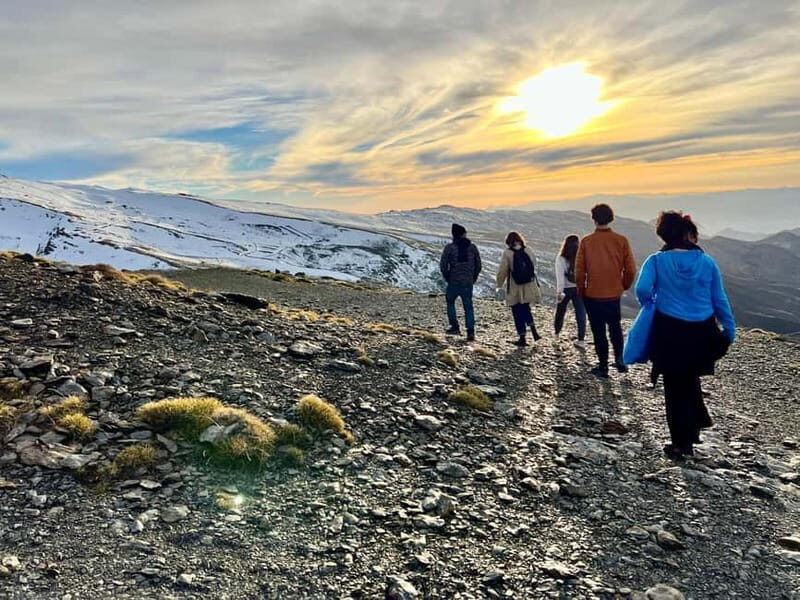 From Granada: Sierra Nevada Safari up to 2500 meters high - Who Is This Tour Best For?