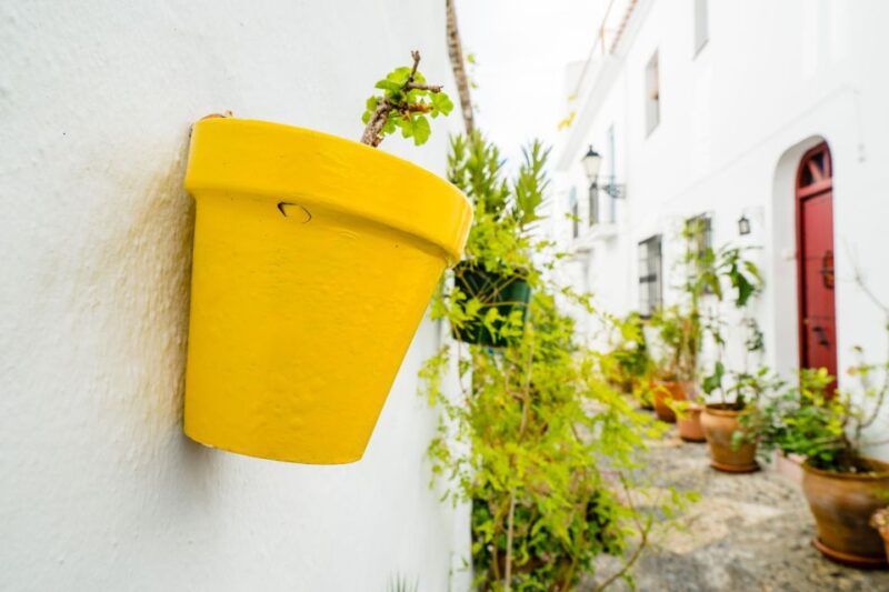 from-granada-skip-the-line-nerja-cave-and-frigiliana