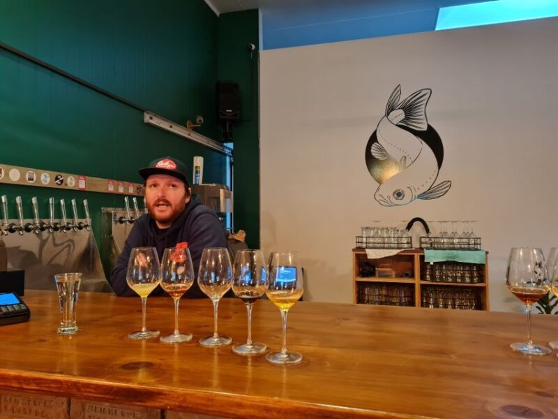 From Greymouth: Highlights West Coast Day Tour - The Itinerary