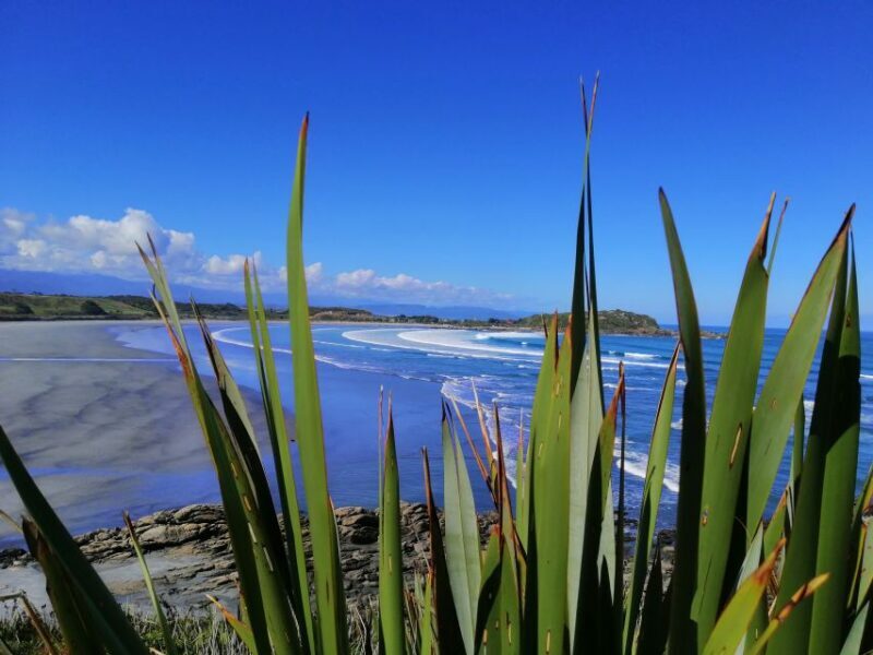 From Greymouth: Highlights West Coast Day Tour - Who Would Enjoy This Tour?