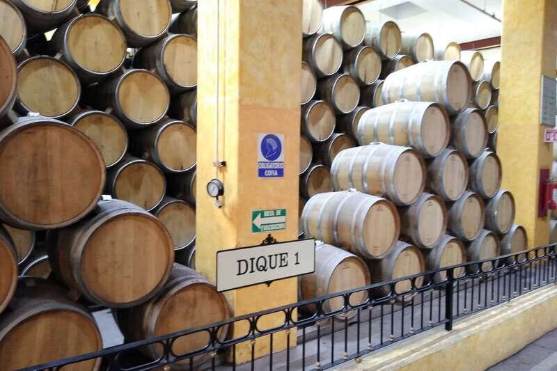 From Guadalajara: La Rojeña Distillery & Jose Cuervo Train - Practical Considerations and Value