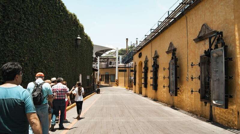 From Guadalajara: Pyramids & Jose Cuervo Tequila Tour - Practical Tips for Travelers