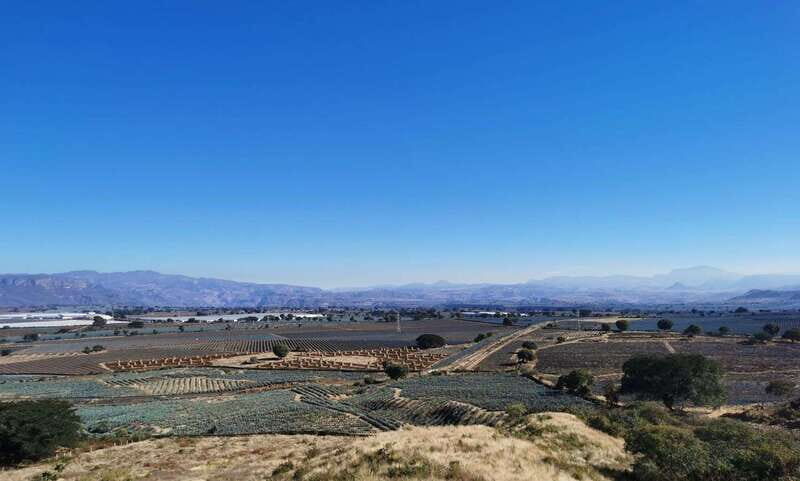 From Guadalajara: Tequila Tour: Tasting Experience & Lunch - Final Thoughts