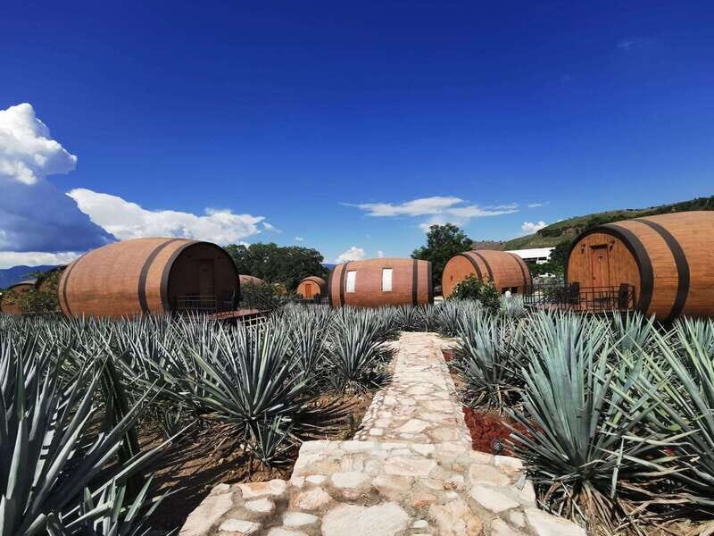 From Guadalajara: Tequila Tour: Tasting Experience & Lunch - FAQ
