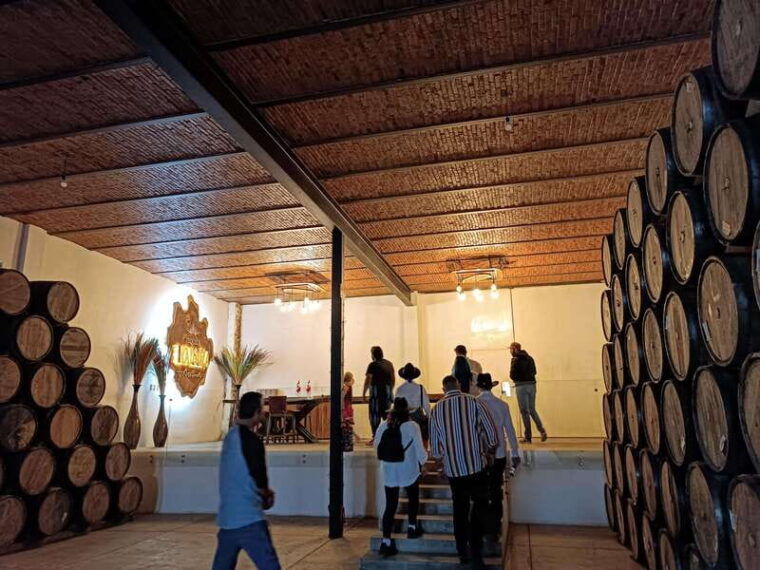 from-guadalajara-tequila-tour-with-tastings