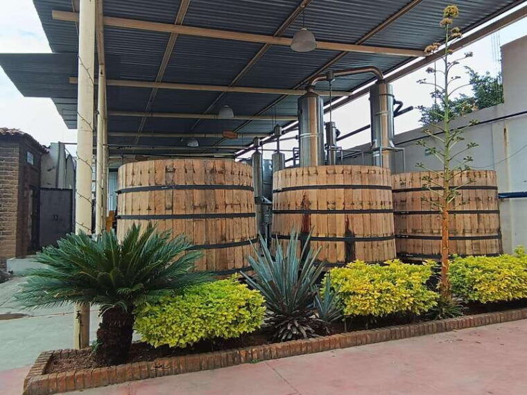 from-guadalajara-tequila-tour-with-tastings
